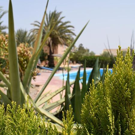تارودانت‎ Maison D'Hotes La Tour De Toile المظهر الخارجي الصورة